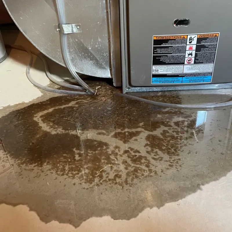 Pipe Burst and Leak Restoration in Saguache County, CO